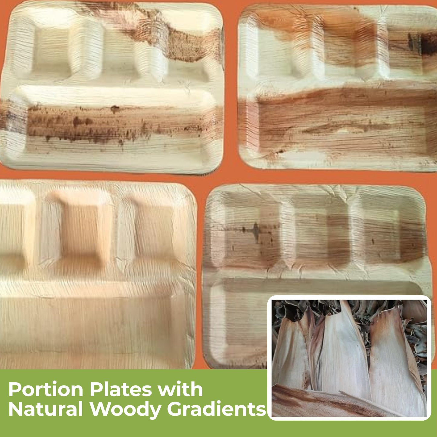 50 Rectangle Compartment Party Plates 11"x9" - 4 Section