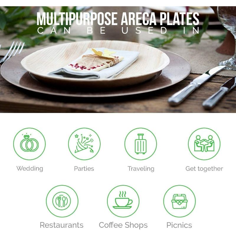 Dtocs Palm Leaf Oval Plates 10 X 6 Inch (50)