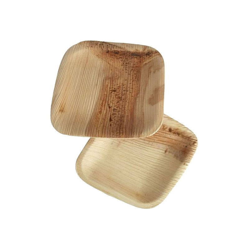 Dtocs Palm Leaf Chemical free plate.