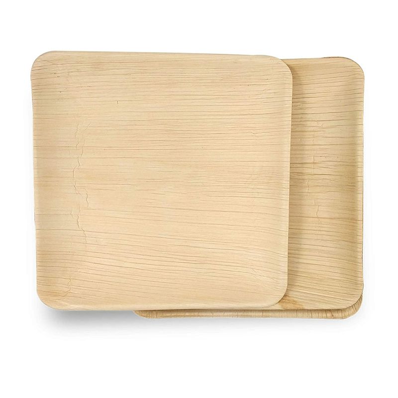 Dtocs Palm Leaf Microwave Safe Plate.