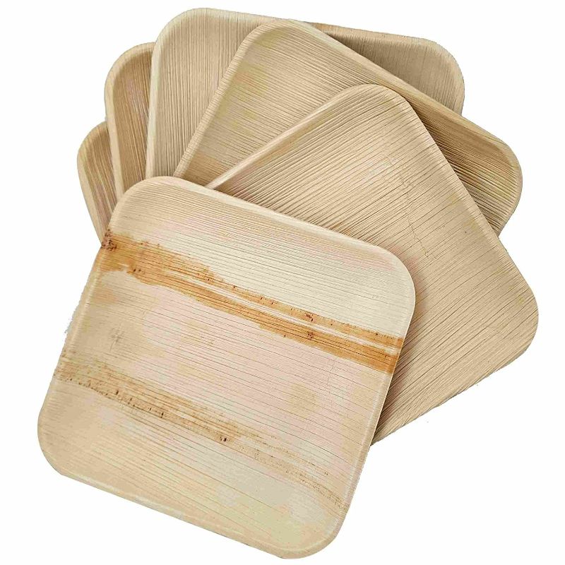 Dtocs Palm Leaf Plate 8" Square