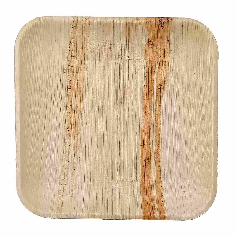 Dtocs Palm Leaf Plate 8" Square