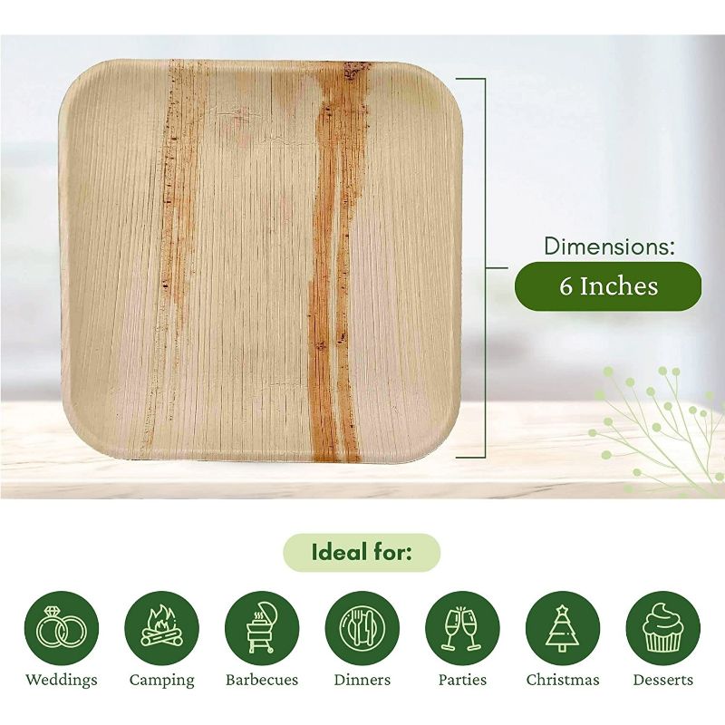 Dtocs Palm Leaf Sturdy Plate,Stronger than paper Plates