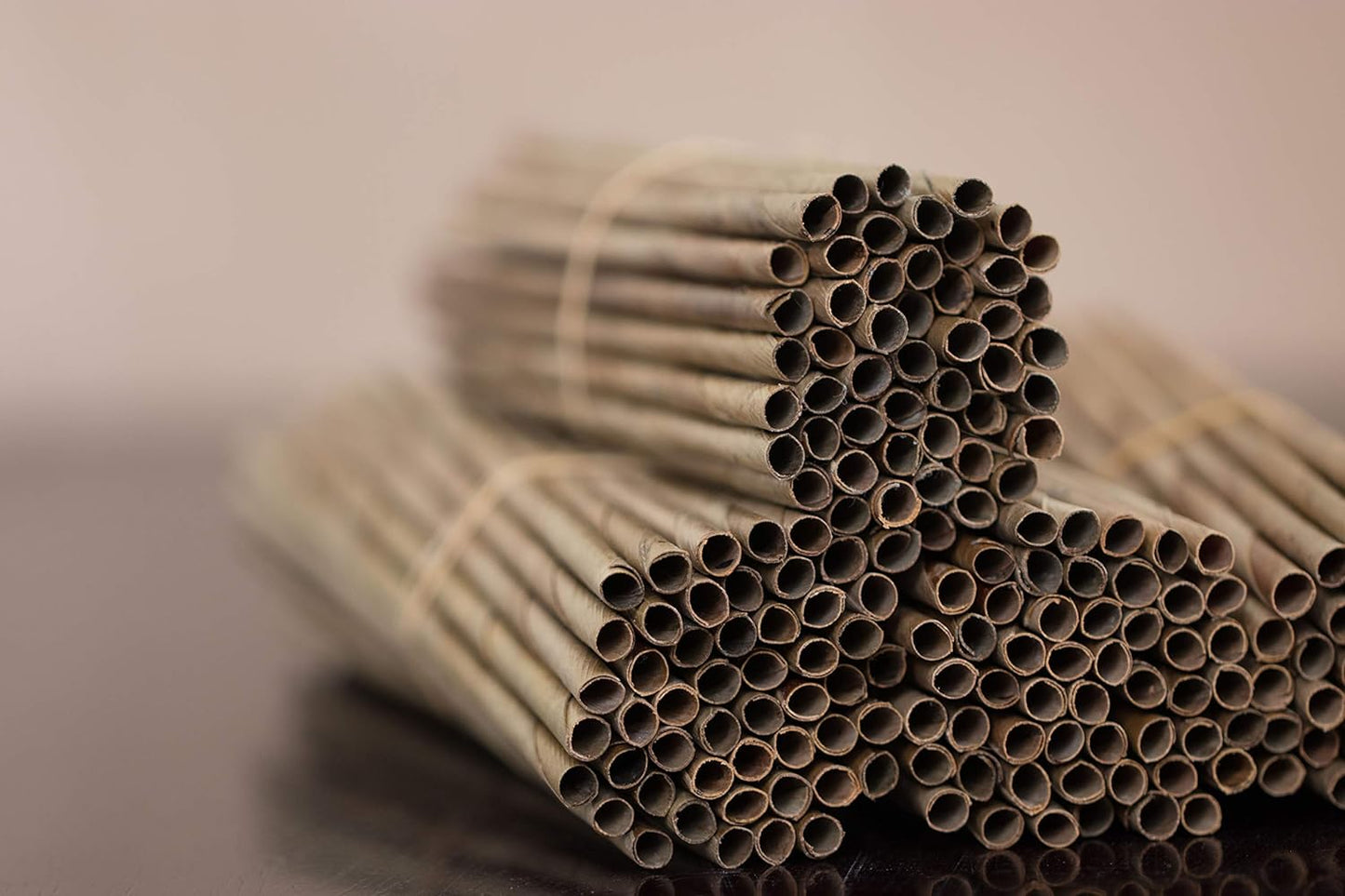 Coconut Leaf Disposable Straws (100)