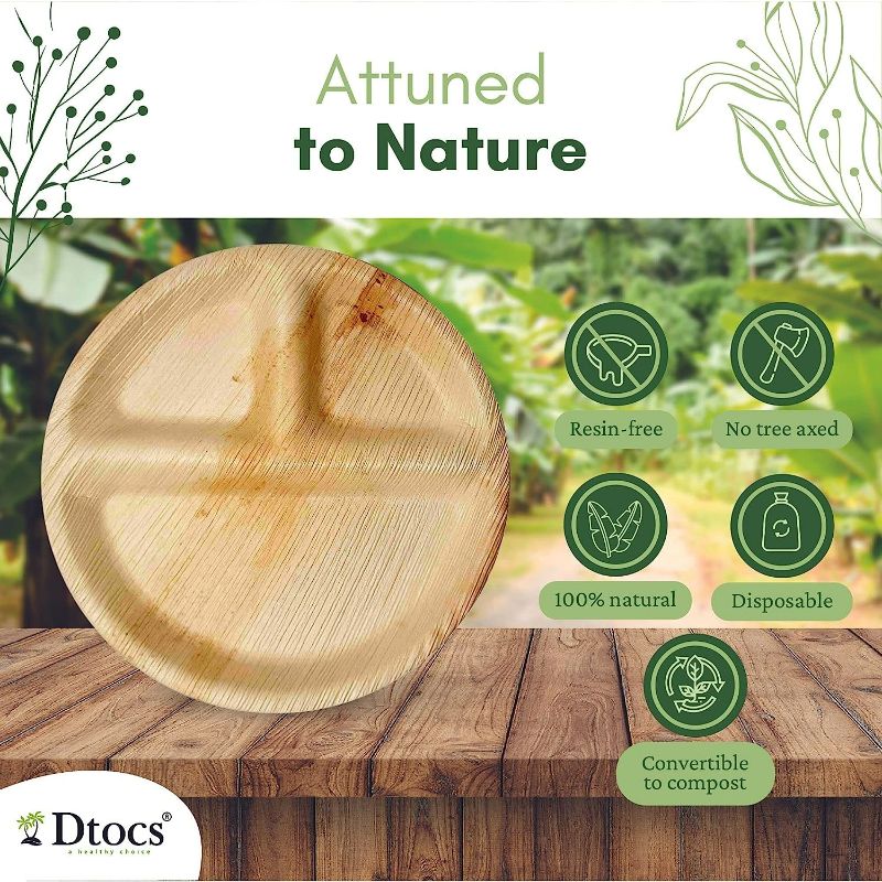 Dtocs Palm Leaf 10" Round Compartment Plate