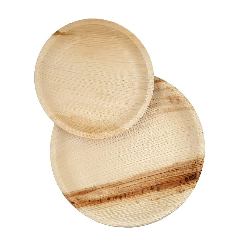 Dtocs Palm Leaf Round Plates For Parties