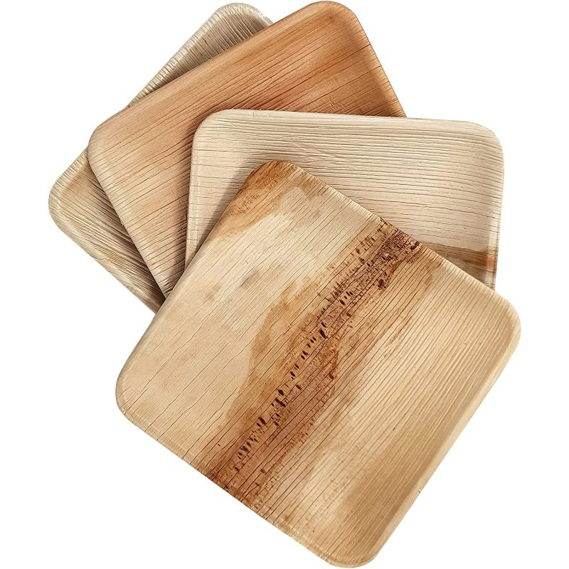 Dtocs Palm Leaf 6 Square eco friendly Plates