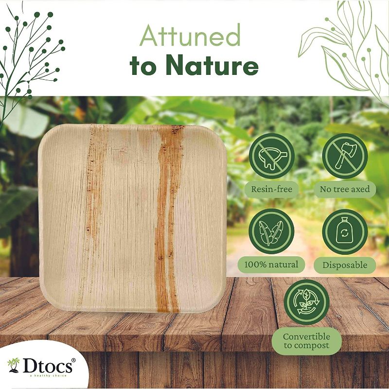 Dtocs Palm Leaf Microwave safe Plates