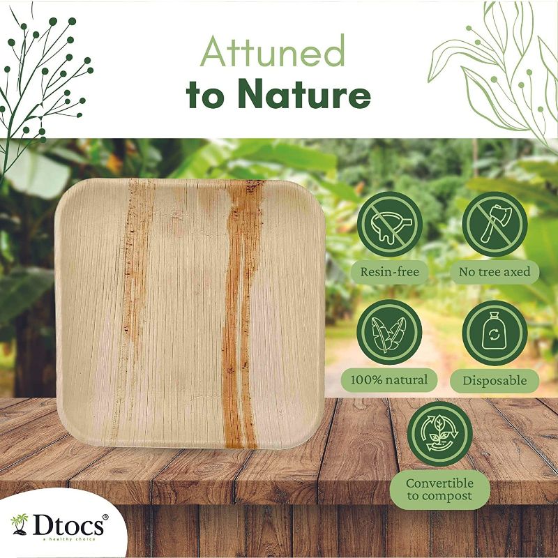 Dtocs Palm Leaf Plate 8" Square