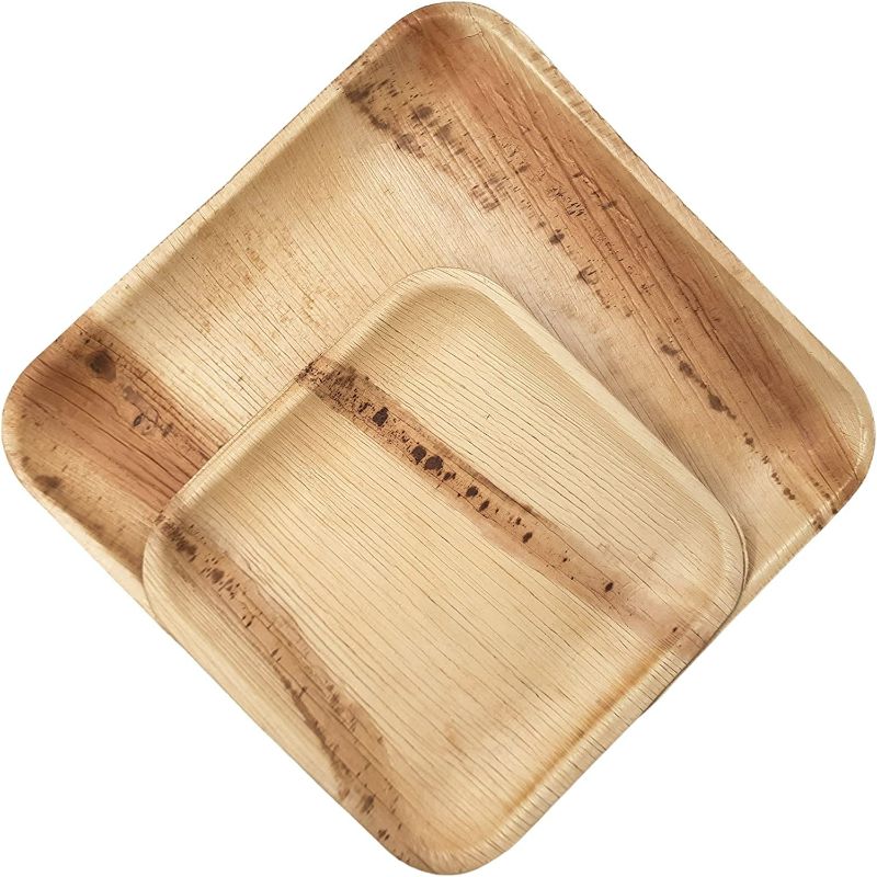 Dtocs Palm Leaf Compostable Plates