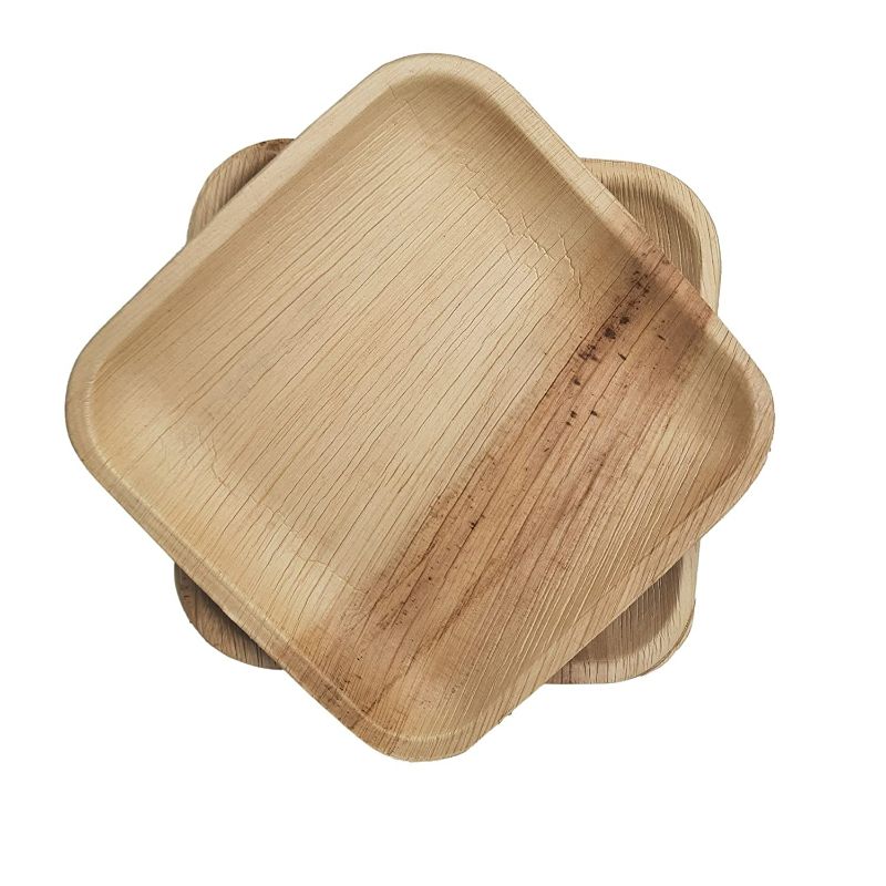 Dtocs Palm Leaf Compostable square Plate