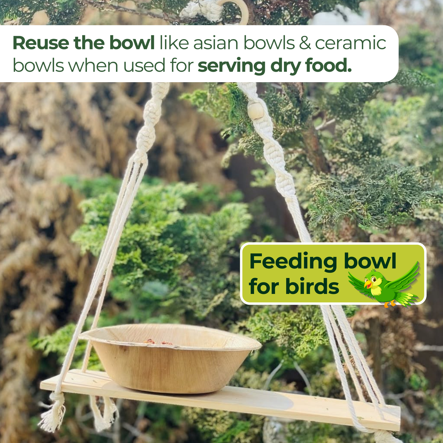 5.5" Round Disposable Bowls (50) | Palm Leaf Bowls