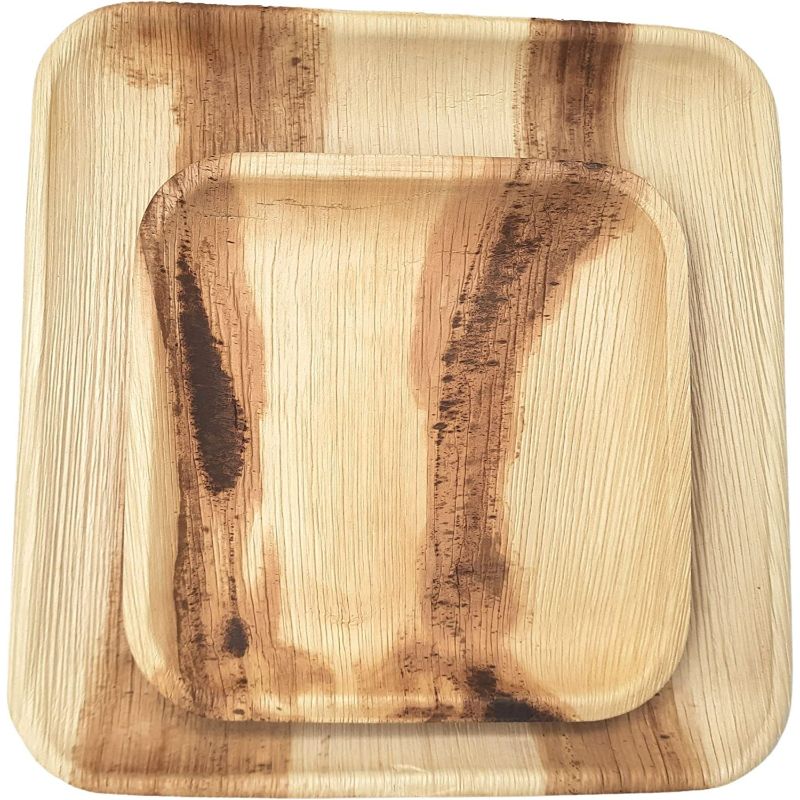 Dtocs Palm Leaf Eco-friendly Plates