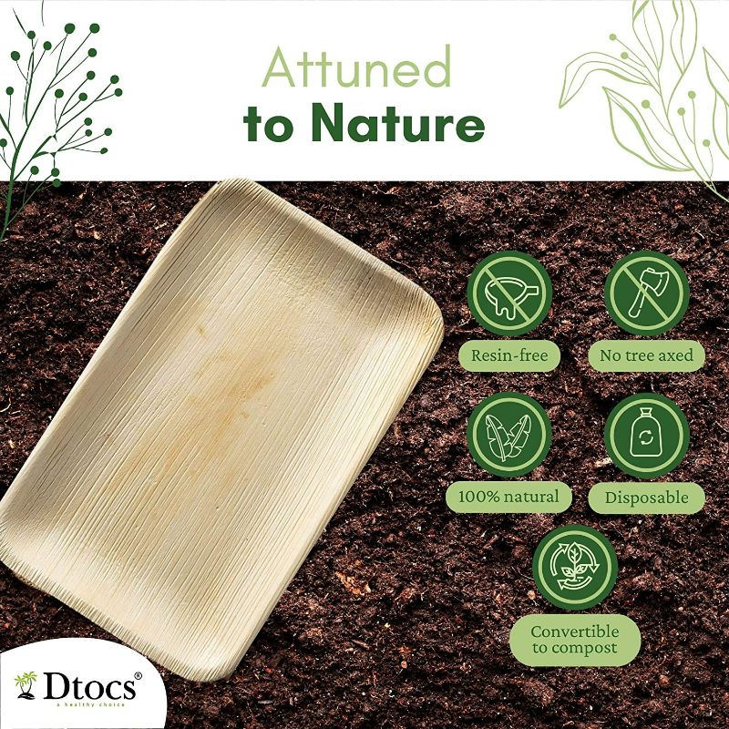 Dtocs Palm Leaf Plates Rectangle Tray 6×9 Inch
