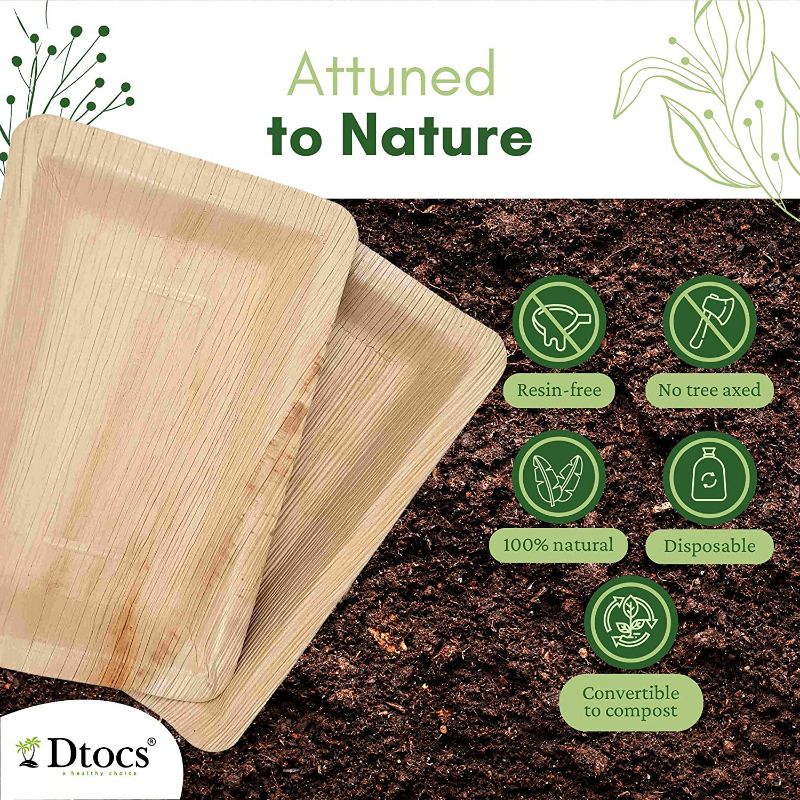 Dtocs Palm Leaf Compostable Rectangle Plate.