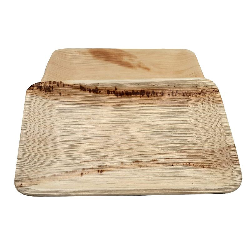 Dtocs Palm Leaf Plates Rectangle Tray 6×9 Inch