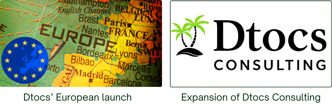 Dtocs Consulting: A Successful 2025 and What’s Ahead