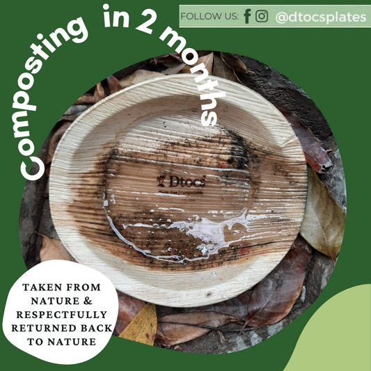 Why Composting Should Be Your New Year’s Resolution