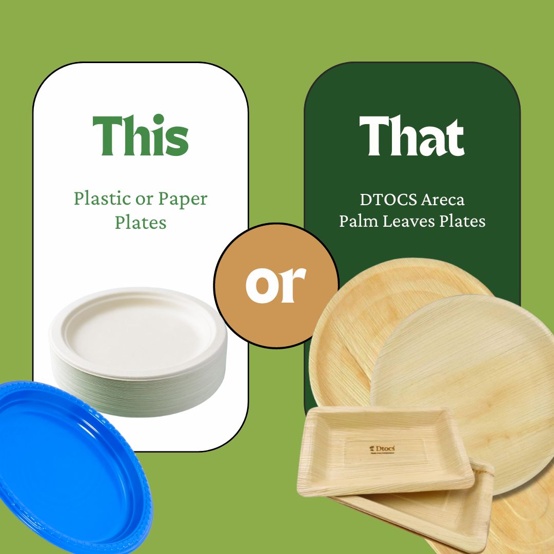 Comparing the Carbon Footprint of Paper, Plastic, and Palm Leaf Plates