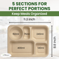 Dtocs Bamboo Fiber 11 Inch 5 Compartment Plates (40 Pcs.) | Heavy Duty Sectional Lunch Tray