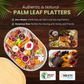 15 Palm Leaf Trays 17"x12" Oval Platter