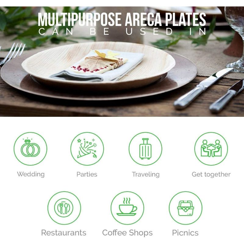 Disposable Dinnerware Compostable 10*8 Inch Oval Party Plates Biodegradable  Food Plates - China 10*8 Inch Oval Plate and Oval Party Plates price
