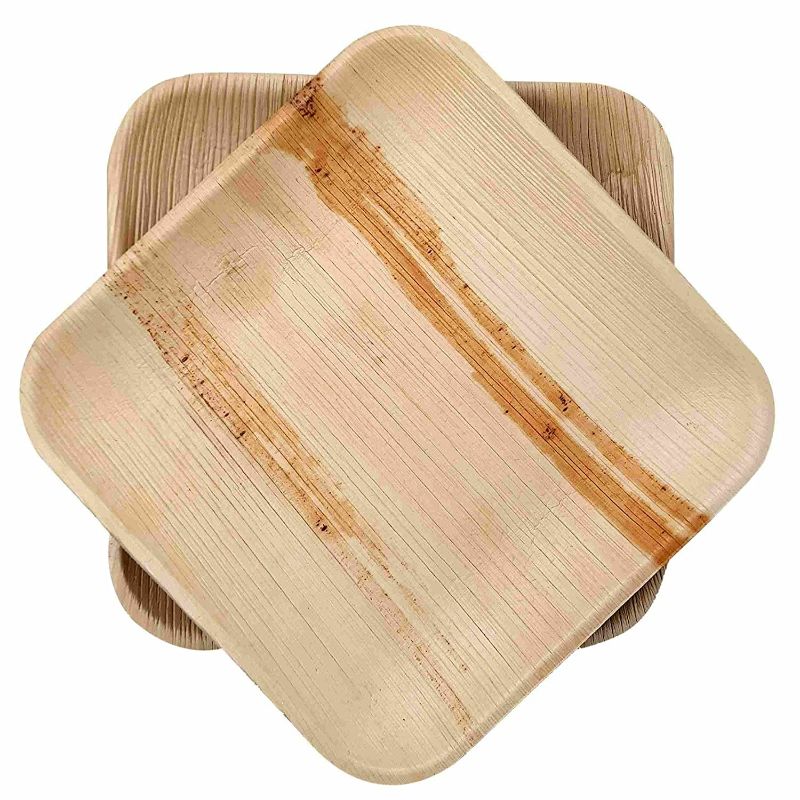 Dtocs Palm Leaf Square Plate for Parties