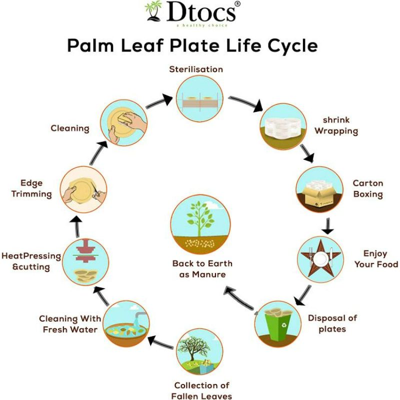 Dtocs Palm Leaf Biodegradable Bowl