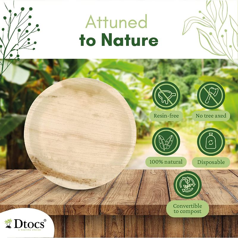 Dtocs Palm Leaf Compostable Plate