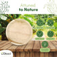 Dtocs Palm leaf Round Plate for Parties.