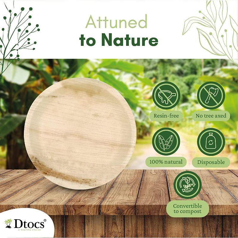 Dtocs Palm leaf Round Plate for Parties.