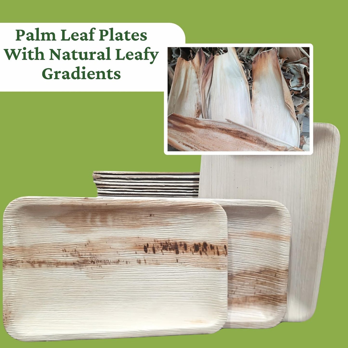 50 Disposable Trays | 6"x9" Palm Leaf Rectangle Plate