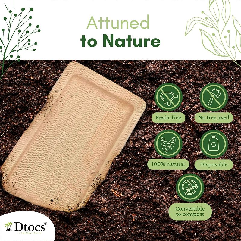 Dtocs Palm Leaf 7x11 Compostable Tray