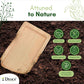 Dtocs Palm Leaf Compostable Tray