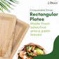 50 Compostable 5"x8" Rectangle Palm Leaf Party Plates